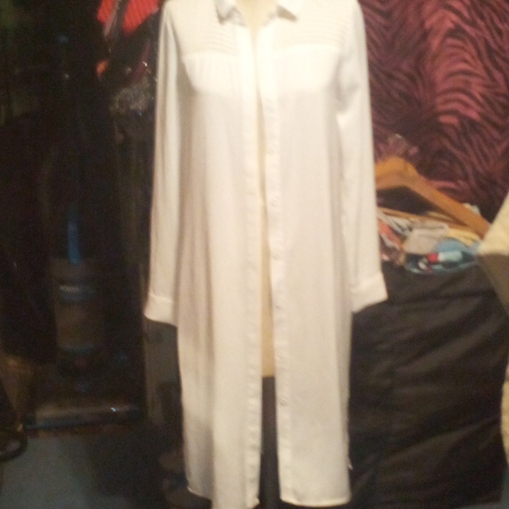 Super cute Forever 21, small, long sleeved, button down blouse dress. Never worn